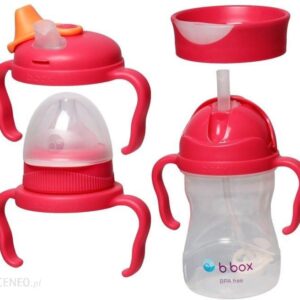 B.Box Kubek Bidon 4W1 Zestaw 4 Końcówek 240ml BB00495