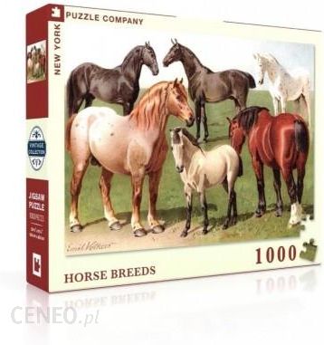 New York Company Puzzle 1000El. Konie